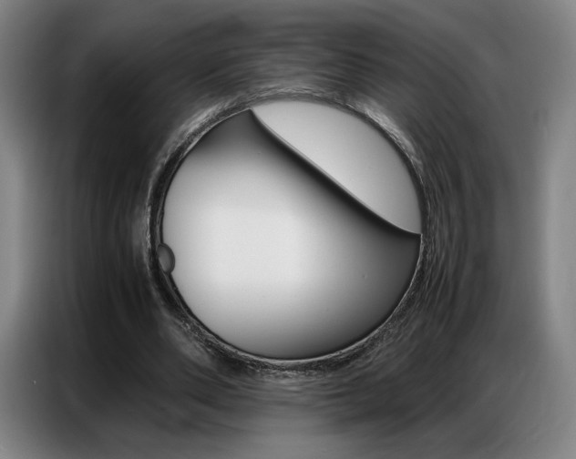 X0000087360486200704200829