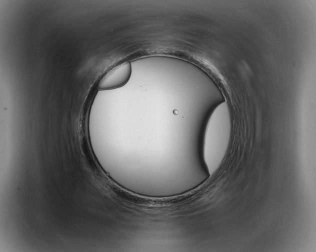 X0000087360487200704200829
