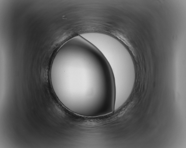 X0000087360489200704200829