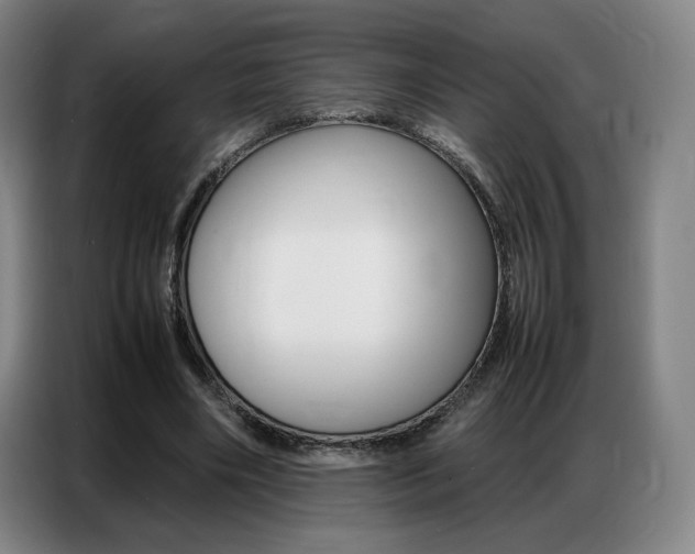 X0000087360490200704200829