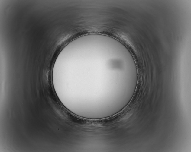 X0000087360491200704200829