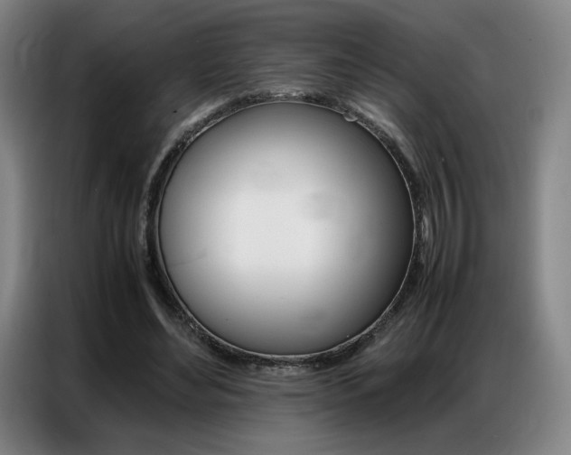 X0000087360492200704200829