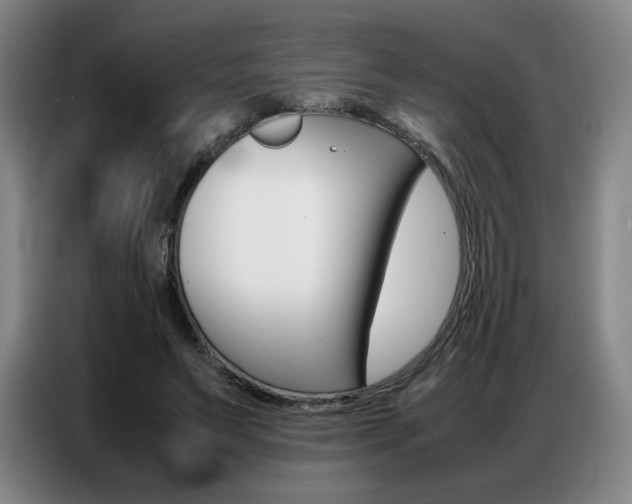 X0000087360495200704200829