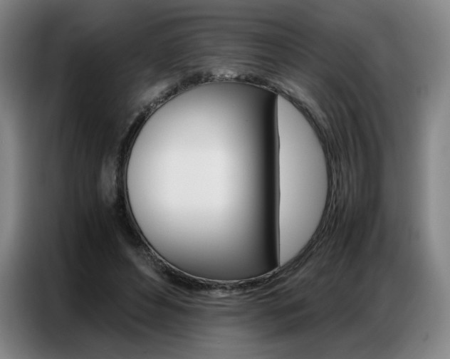 X0000087360496200704200829