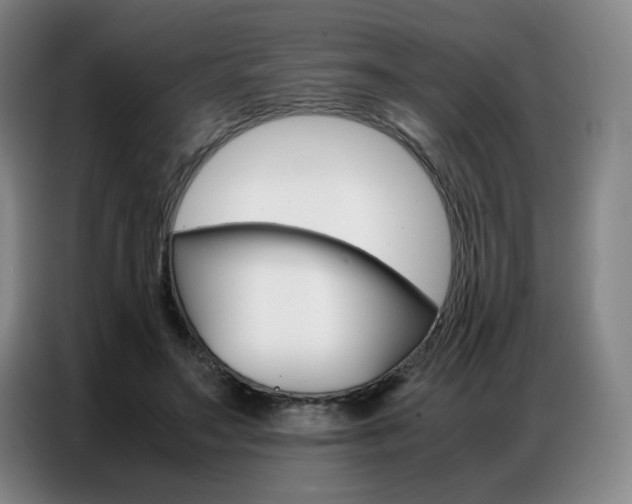 X0000087360499200704200829