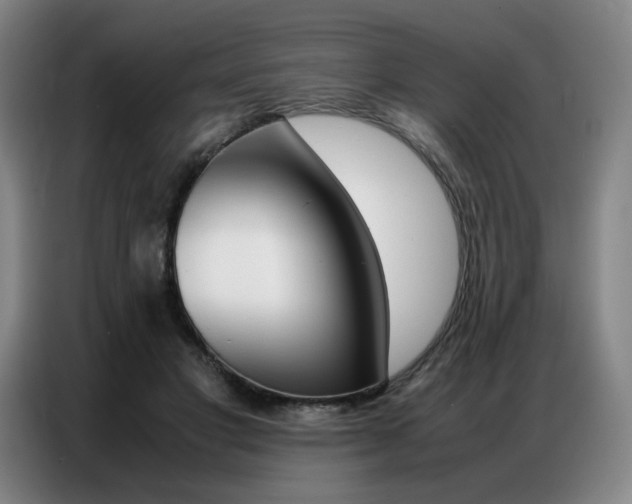 X0000087360501200704200829