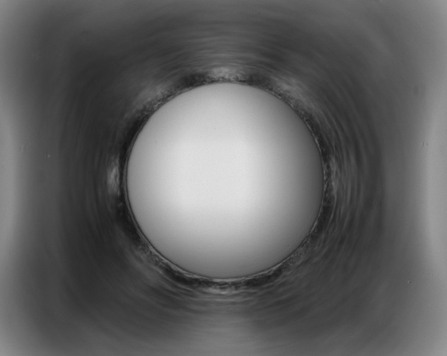 X0000087360502200704200829
