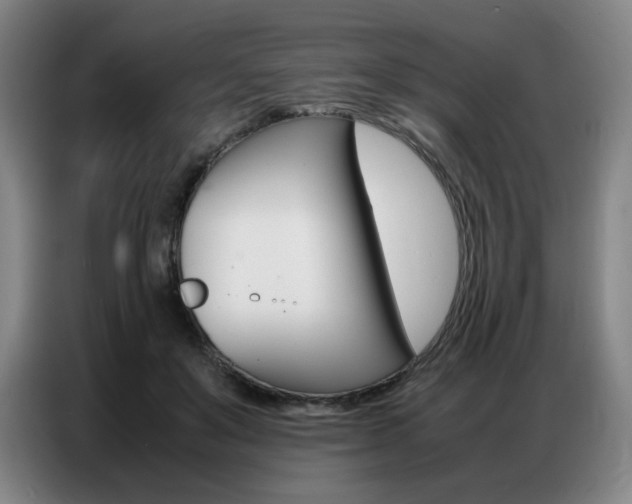X0000087360503200704200829