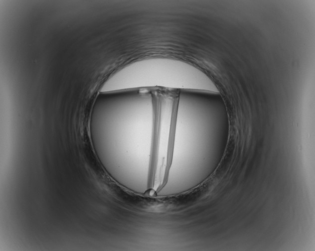 X0000087360504200704200829
