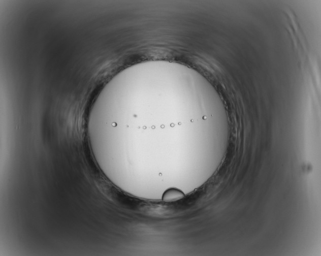 X0000087360507200704200828