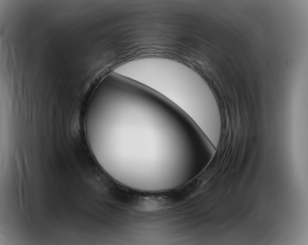 X0000087360508200704200828