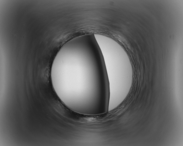 X0000087360509200704200828
