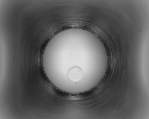 X0000087360510200704200828