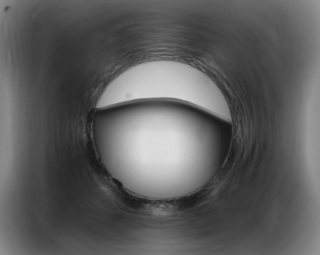 X0000087360512200704200828