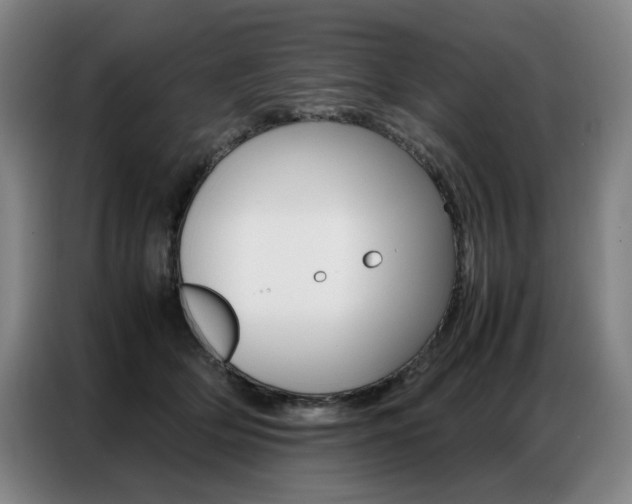 X0000087360514200704200828