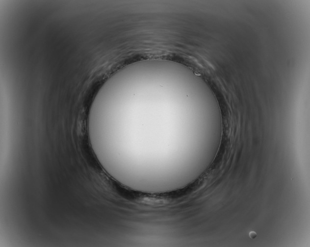 X0000087360515200704200828