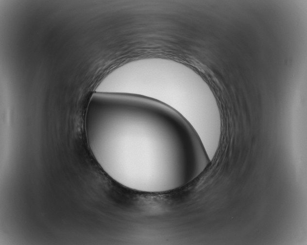 X0000087360517200704200828