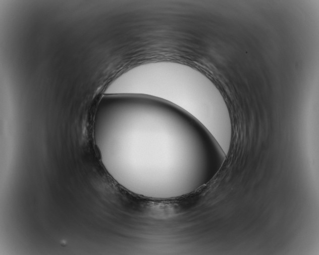 X0000087360520200704200828