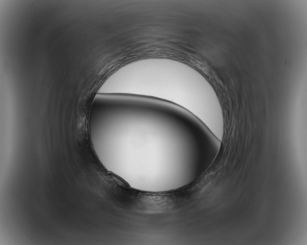 X0000087360521200704200828