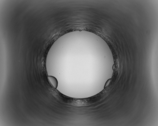 X0000087360522200704200828