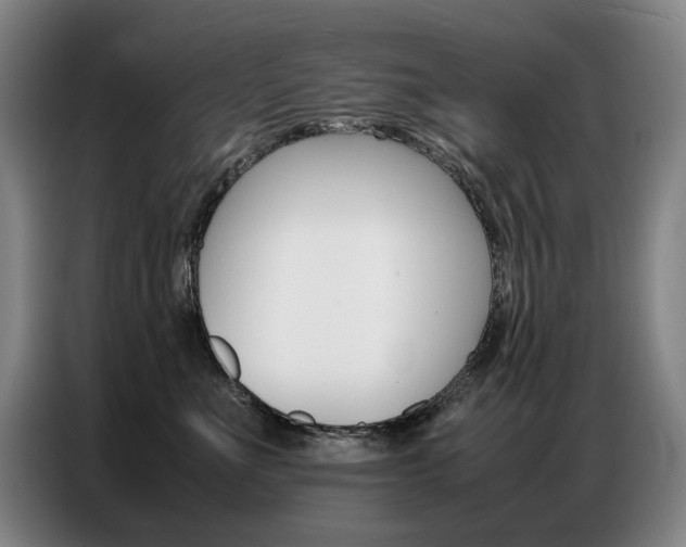 X0000087360523200704200828