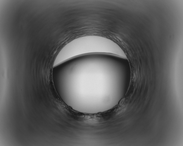 X0000087360524200704200828
