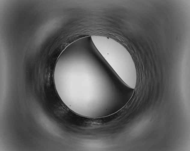 X0000087360525200704200828