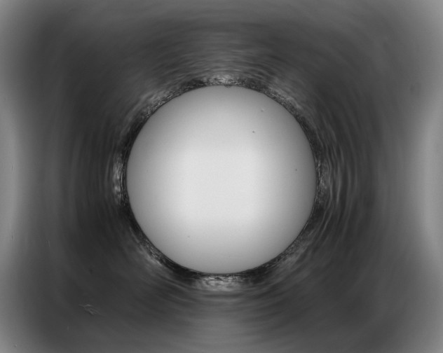 X0000087360526200704200828