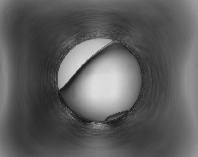 X0000087360528200704200828