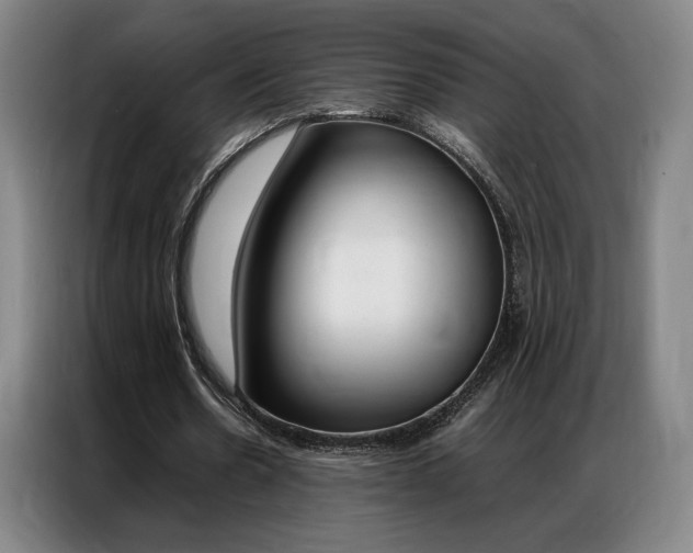 X0000087360530200704200828