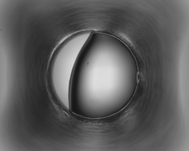 X0000087360532200704200828