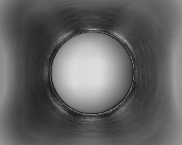 X0000087360533200704200828
