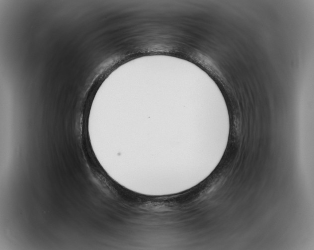 X0000087360534200704200828