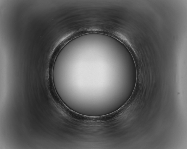 X0000087360535200704200828