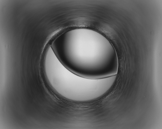 X0000087360536200704200828