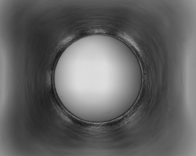 X0000087360537200704200828