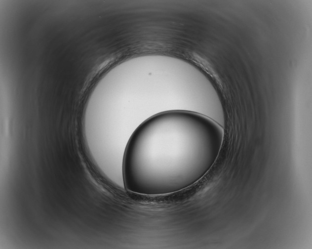 X0000087360538200704200828