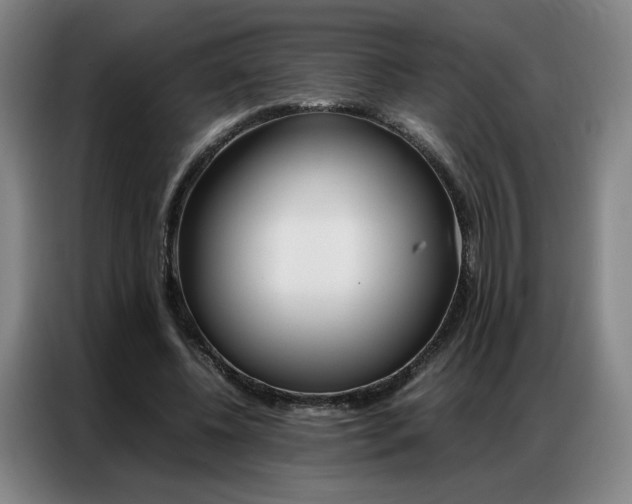 X0000087360540200704200828