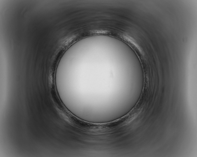 X0000087360541200704200828