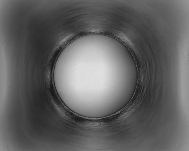 X0000087360542200704200828