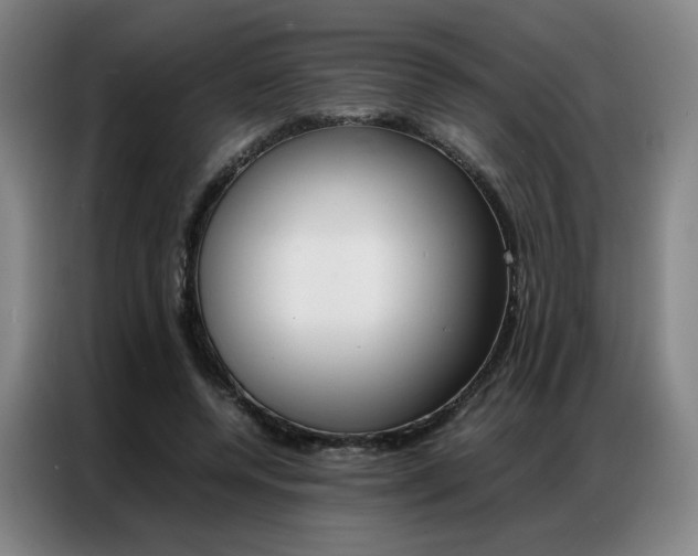 X0000087360544200704200828