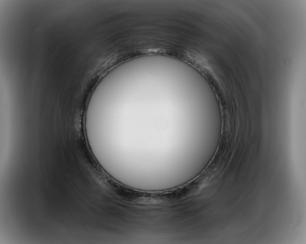 X0000087360545200704200828