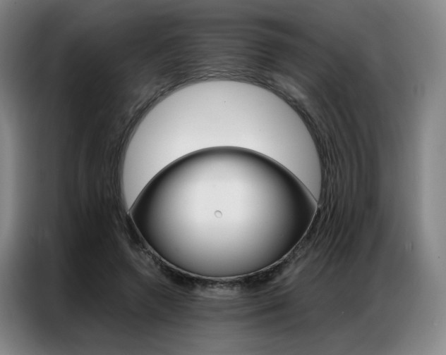 X0000087360546200704200828