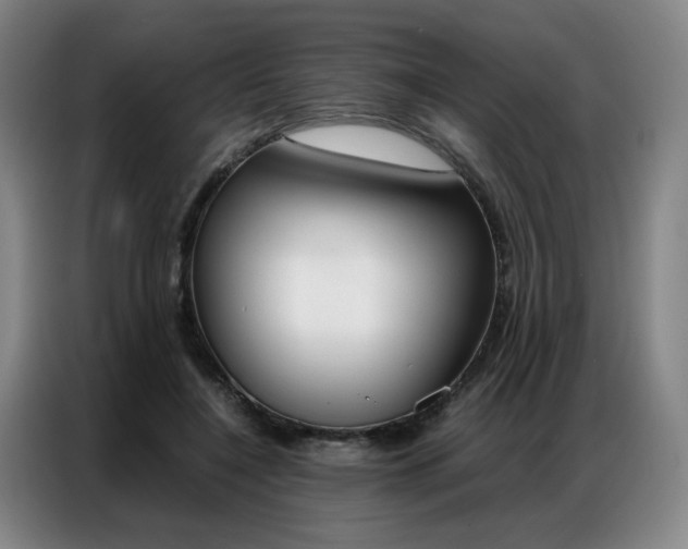 X0000087360548200704200828