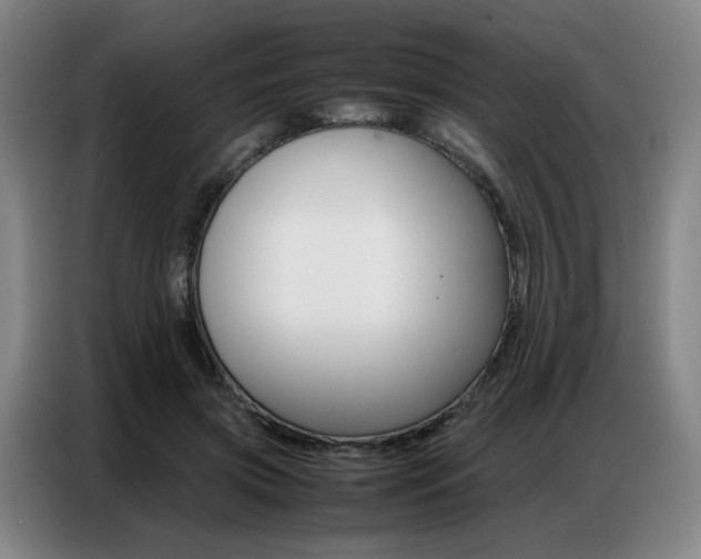 X0000087360549200704200828
