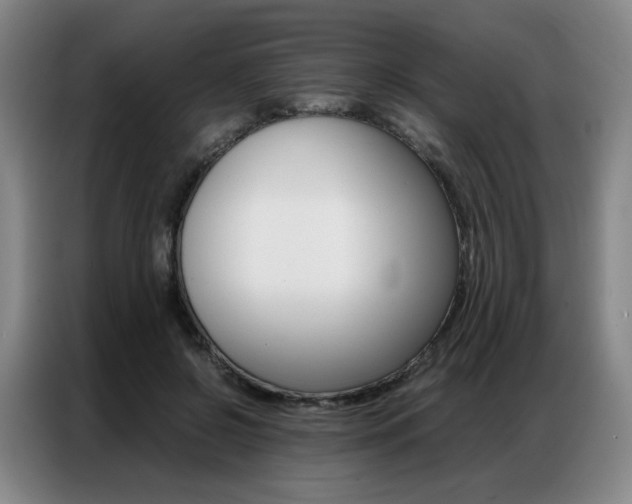 X0000087360550200704200828