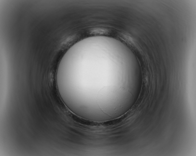 X0000087360551200704200828