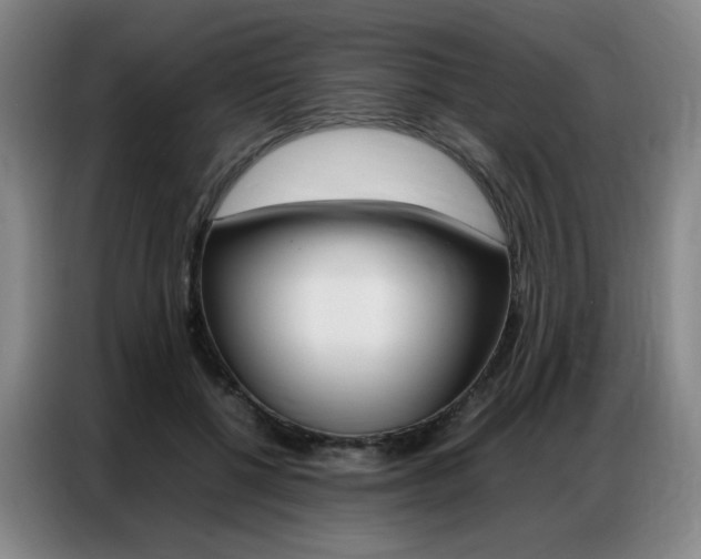 X0000087360552200704200828