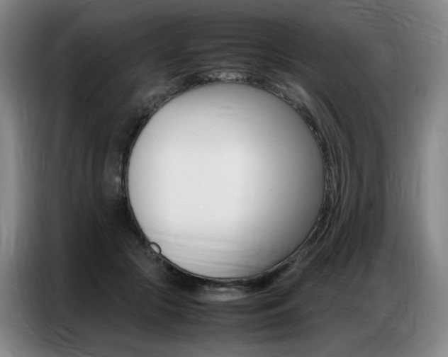 X0000087360553200704200828