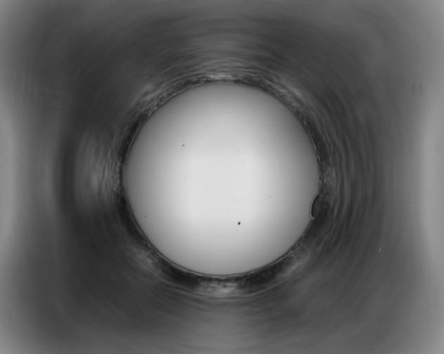 X0000087360554200704200828